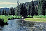 Fishing on the Madison River